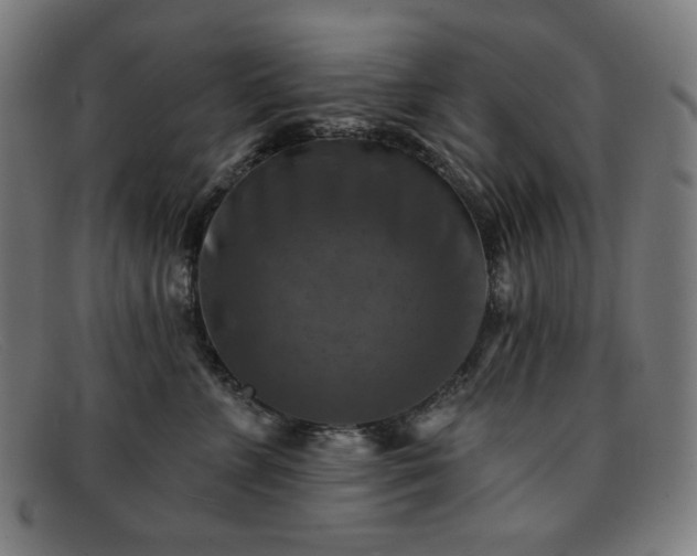 X0000091890715200709121440