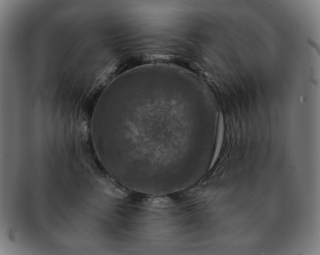 X0000091890716200709121440