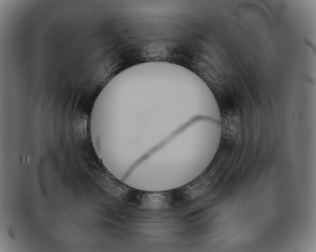 X0000091890717200709121440