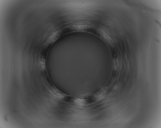 X0000091890718200709121440