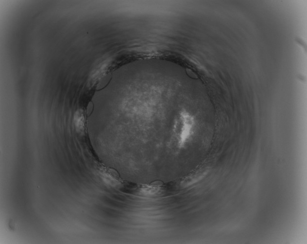 X0000091890720200709121440