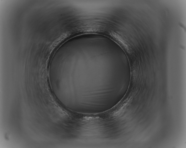 X0000091890721200709121439