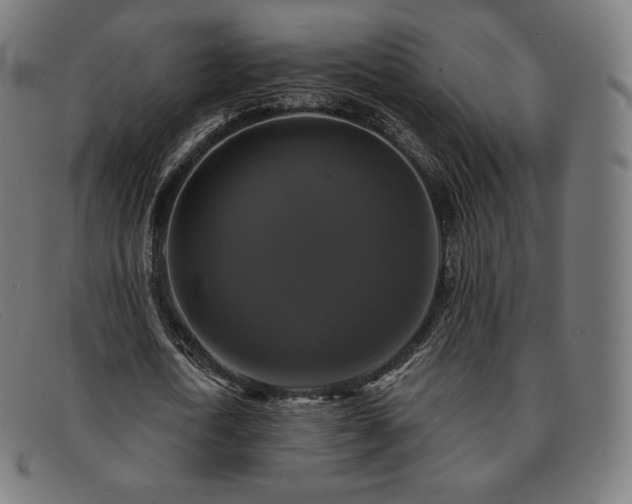 X0000091890722200709121439