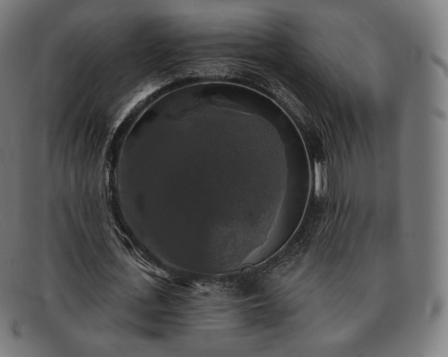 X0000091890723200709121439