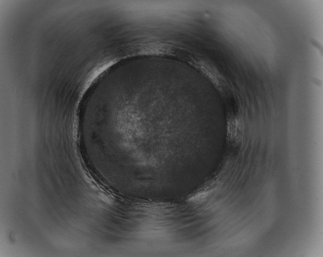 X0000091890724200709121439