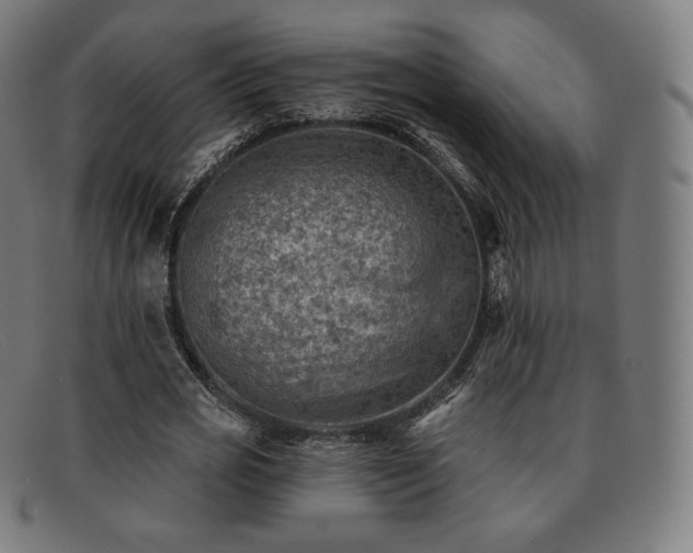 X0000091890725200709121439