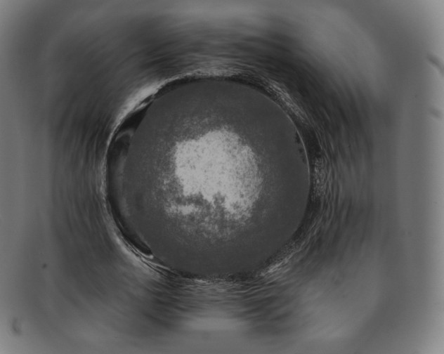 X0000091890726200709121439