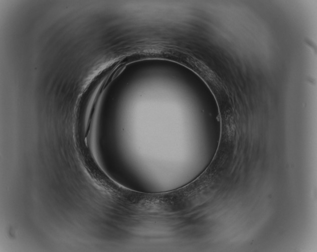 X0000091890728200709121439