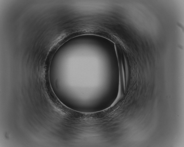 X0000091890730200709121439