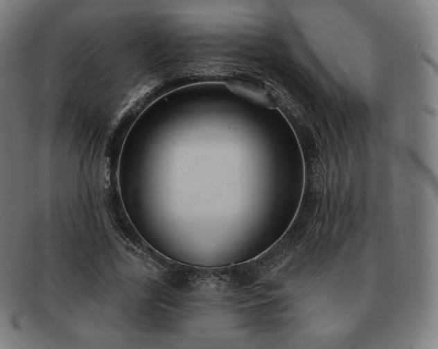 X0000091890731200709121439