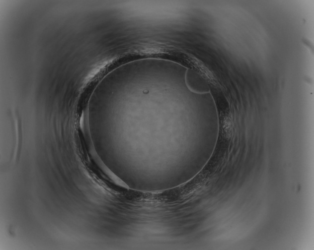 X0000091890732200709121439