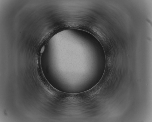 X0000091890733200709121439