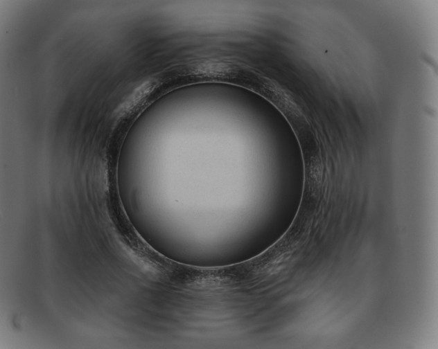 X0000091890734200709121439