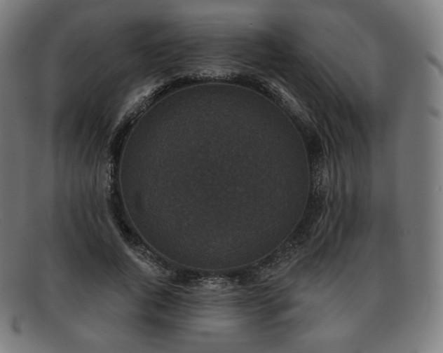 X0000091890736200709121439