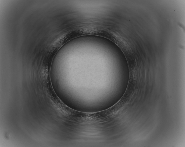 X0000091890737200709121439