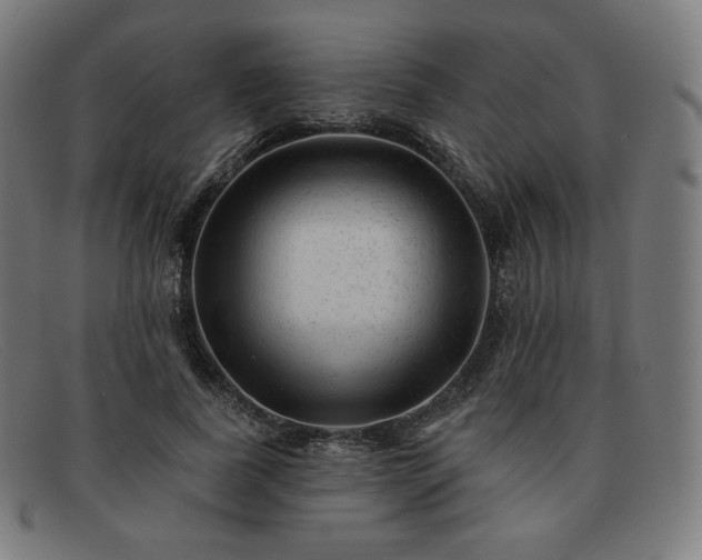 X0000091890739200709121439
