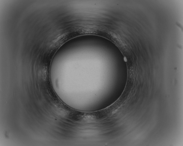X0000091890741200709121439
