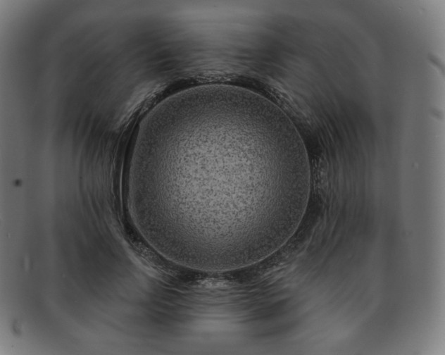 X0000091890742200709121439