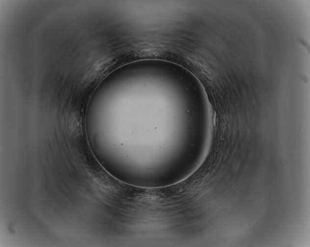 X0000091890743200709121439