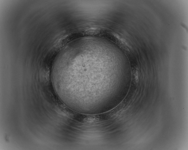 X0000091890745200709121439