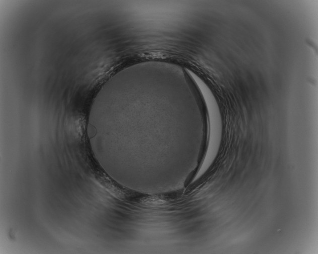 X0000091890747200709121439