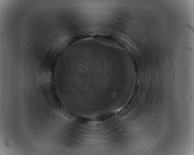 X0000091890748200709121439