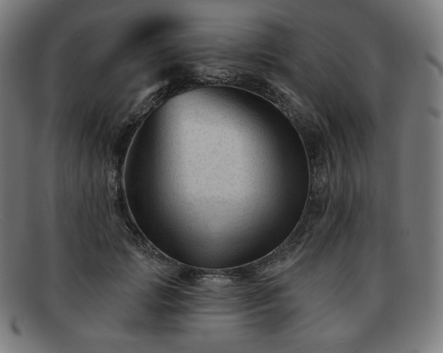 X0000091890749200709121439