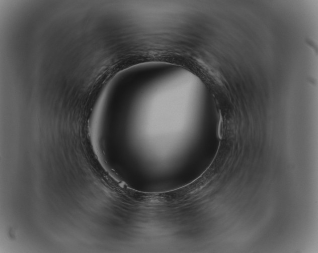 X0000091890750200709121439