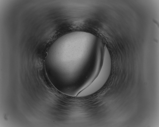 X0000091890751200709121439