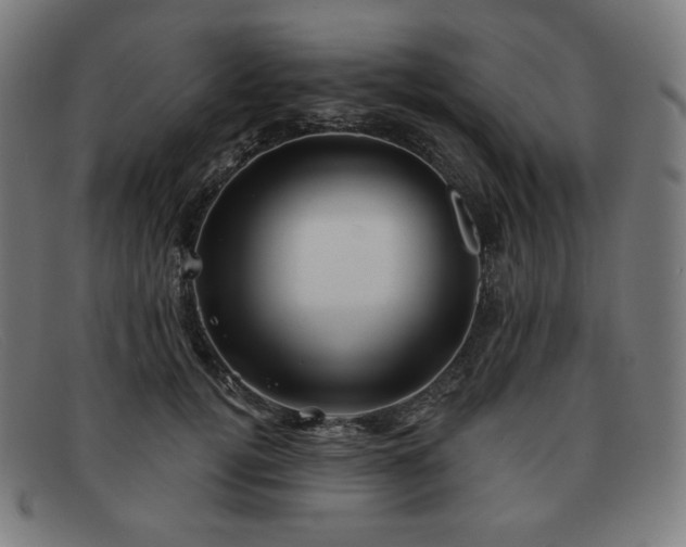 X0000091890752200709121439