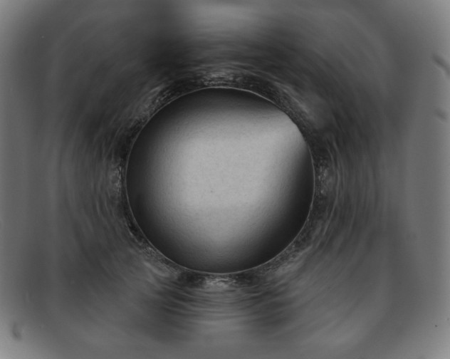 X0000091890753200709121439