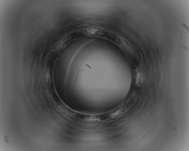 X0000091890754200709121439