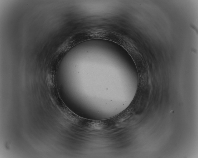 X0000091890755200709121440