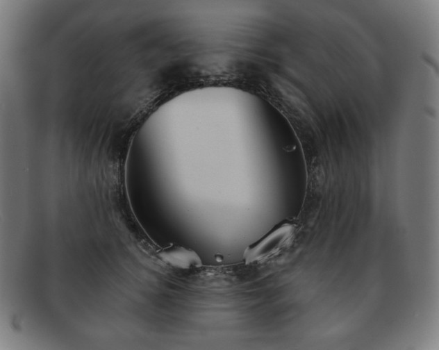 X0000091890756200709121440