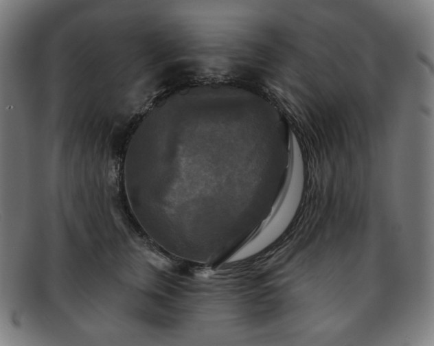 X0000091890759200709121440