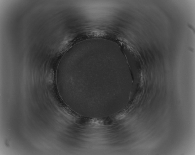 X0000091890760200709121440