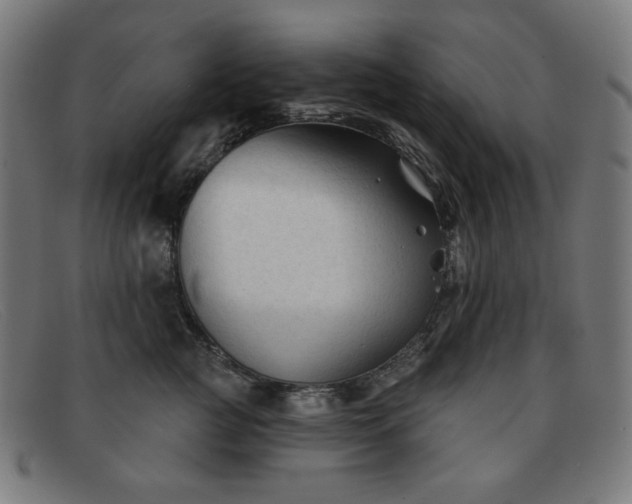 X0000091890761200709121440