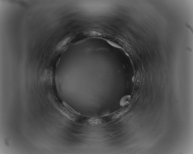 X0000091890762200709121440