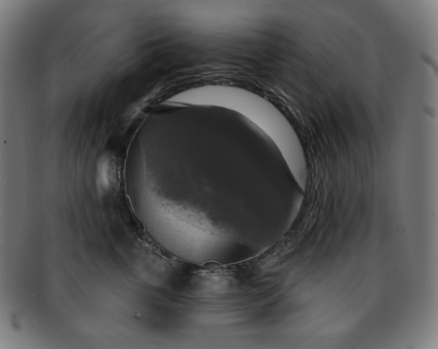 X0000091890763200709121440