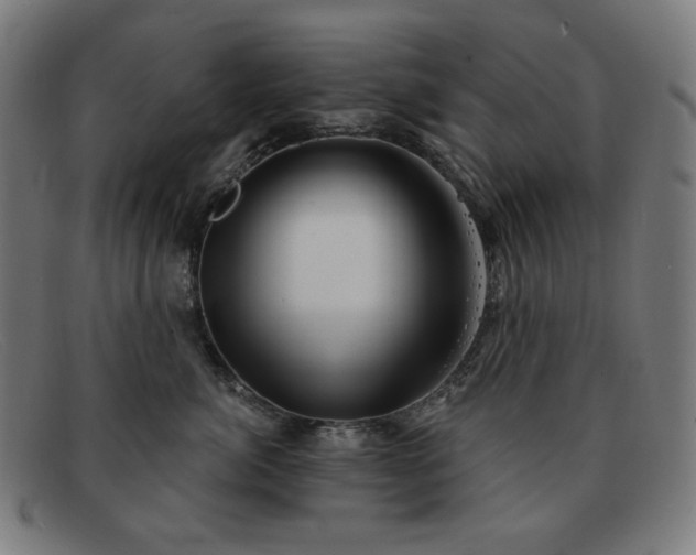 X0000091890764200709121440