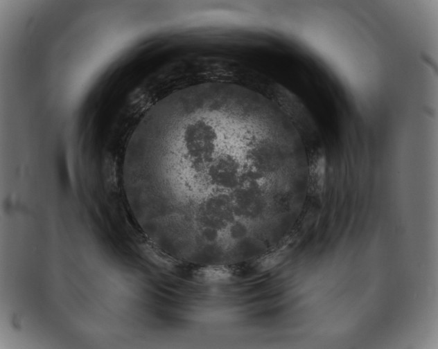 X0000091890765200709121440