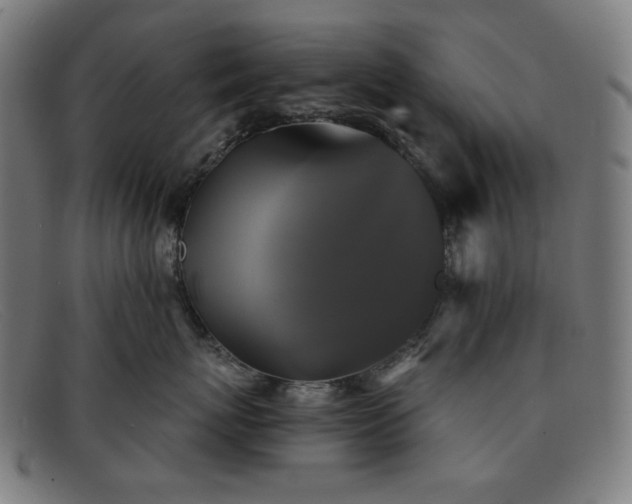 X0000091890767200709121440