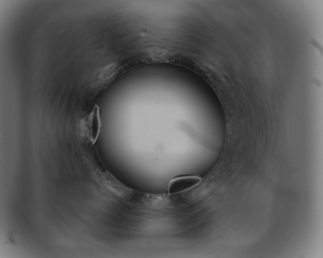 X0000091890768200709121440