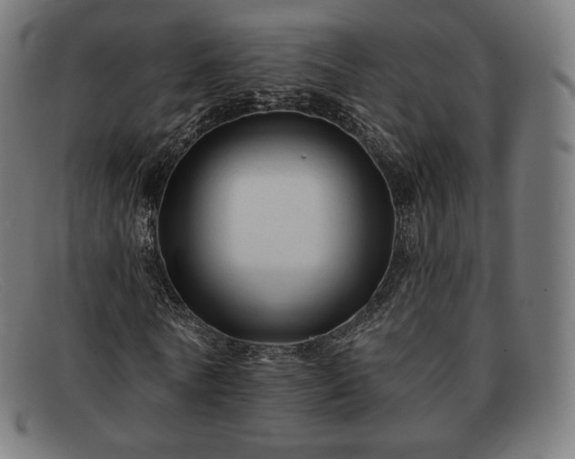 X0000091890770200709121439
