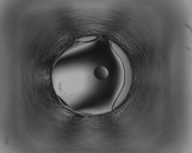X0000091890771200709121439