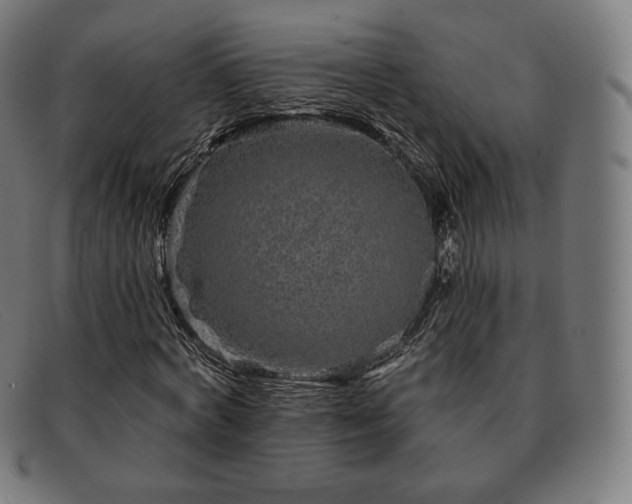 X0000091890772200709121439