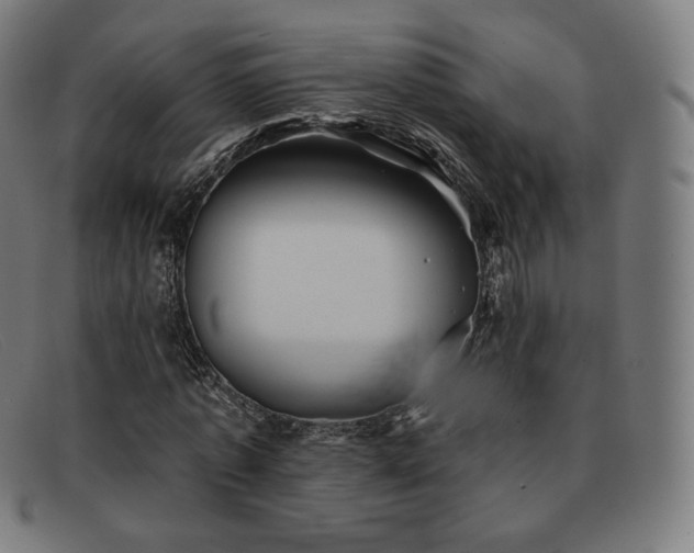 X0000091890773200709121439