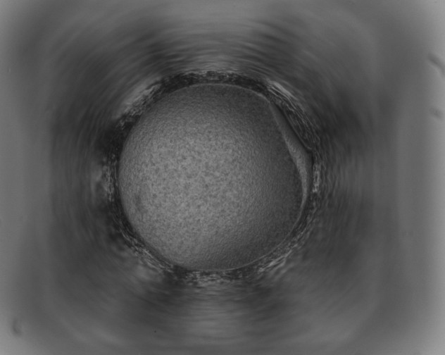 X0000091890774200709121439