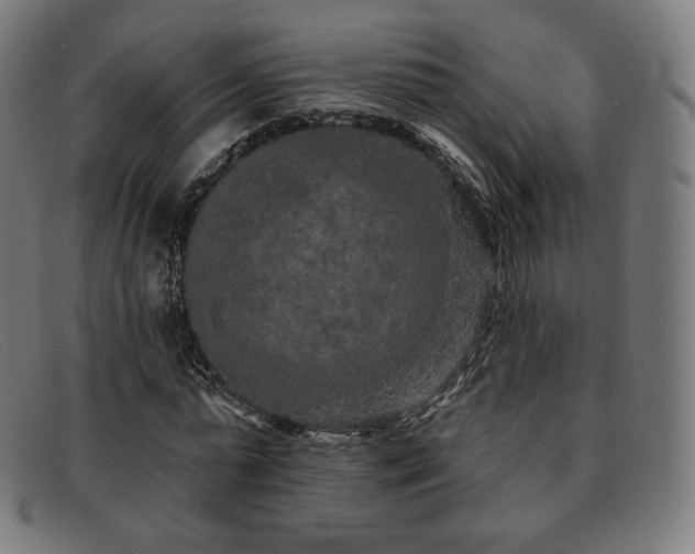 X0000091890775200709121439
