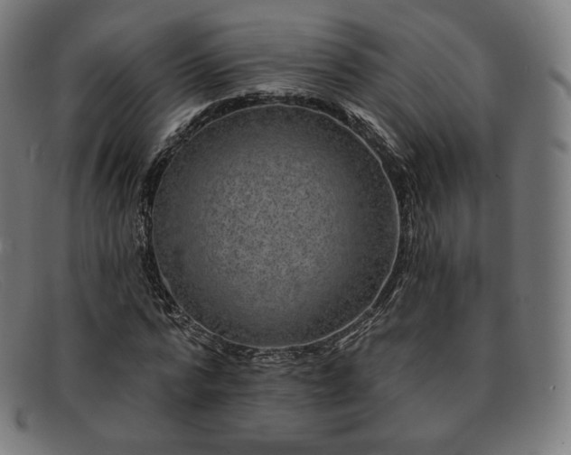 X0000091890776200709121439